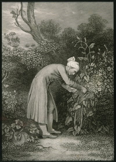 William Cowper (1731-1800) af English School